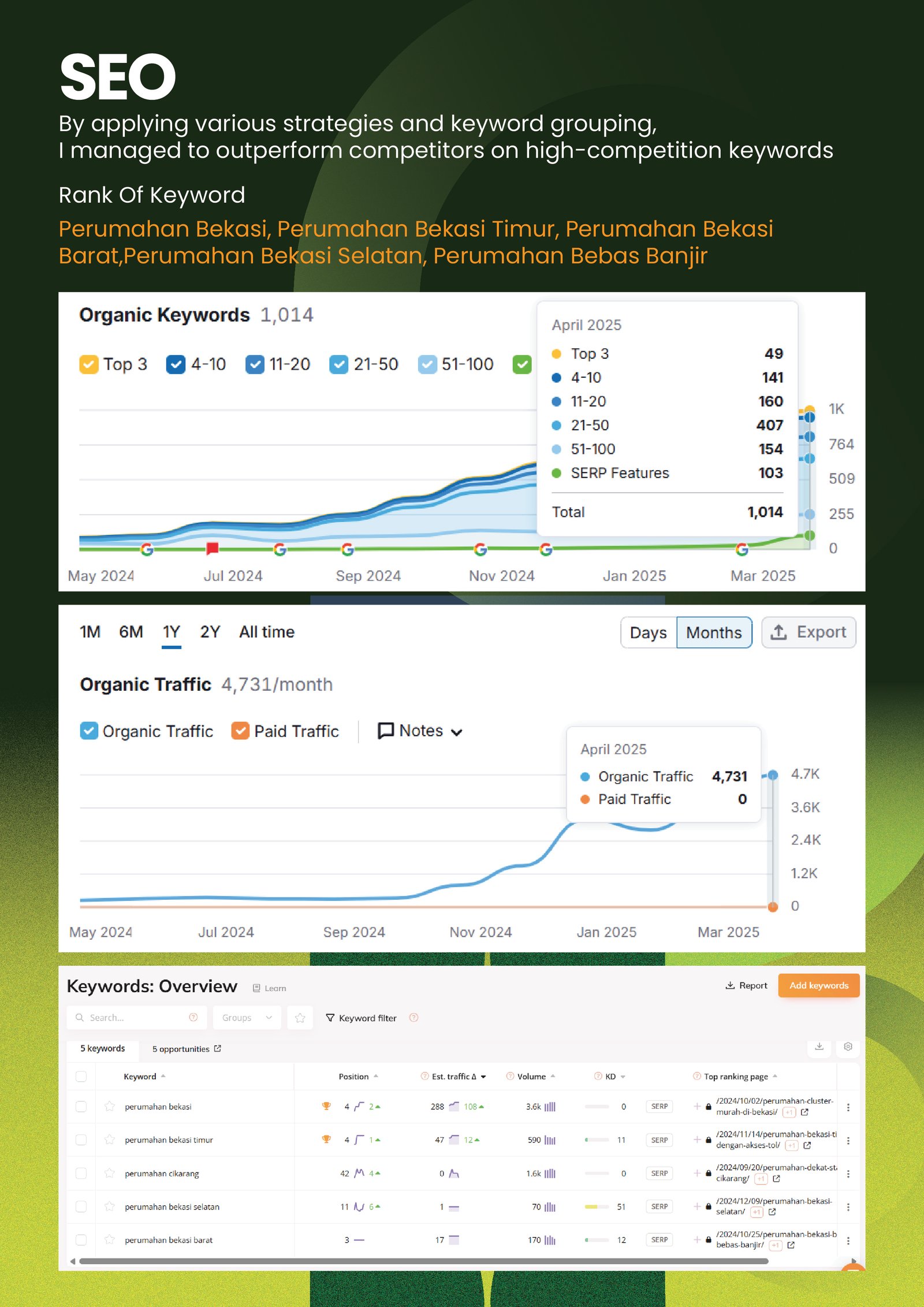 SEO Dashboard